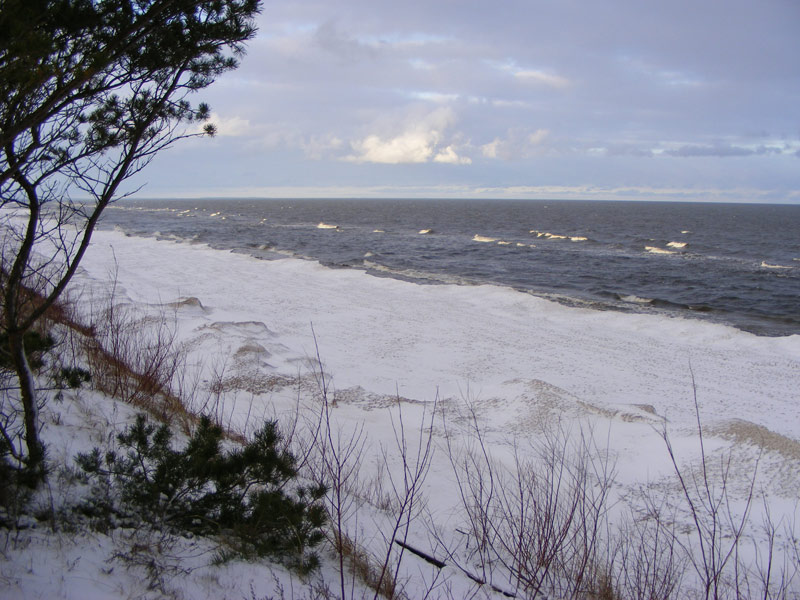 Bałtyk zimą - majestatyczne bory sosnowe kryją w sobie leczniczą moc natury : Marena Wellness & Spa
