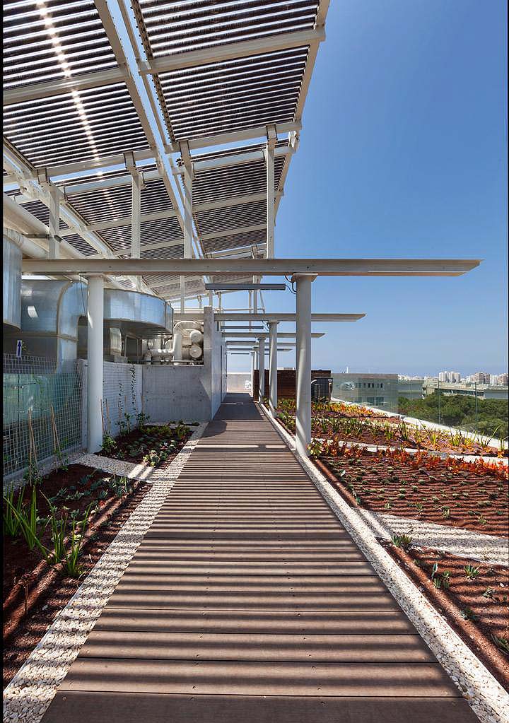 Budynek szkoły ochrony środowiska - Tel Awiw