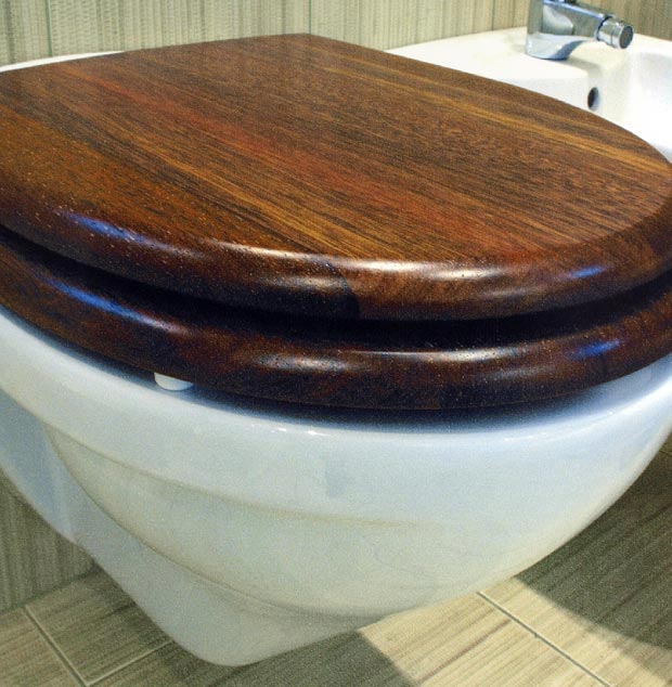 Detal w łazience – deska sedesowa