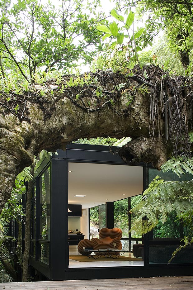 Wymarzony dom w lesie: Chris Tate Architecture