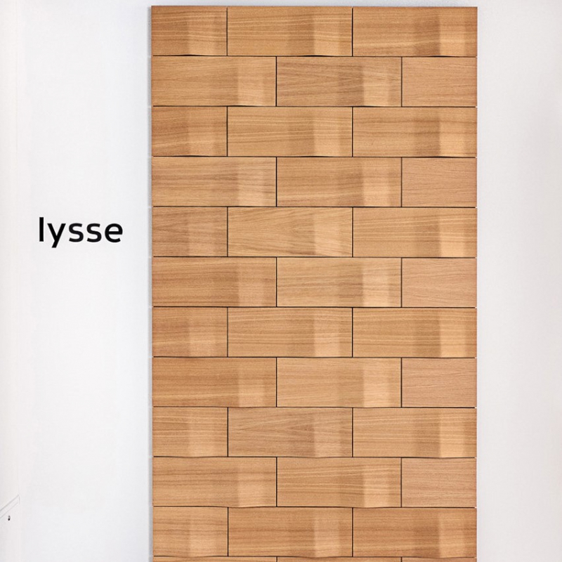Panel LYSSE