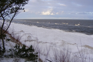 Bałtyk zimą - majestatyczne bory sosnowe kryją w sobie leczniczą moc natury : Marena Wellness & Spa