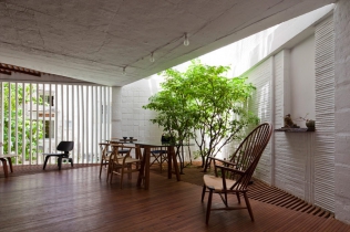 Drzewo w domu : projekt a21studio z Wietnamu