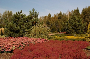 Naturalistyczny ogród wpisany w krajobraz : Argo Atelier