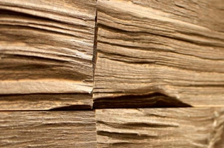 Panele dekoracyjne : drewno 