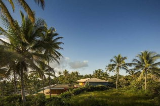 Projekt domu w otoczeniu palm - Brazylia
