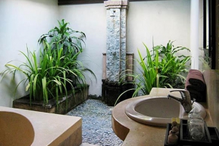 Łazienki pełne roślin