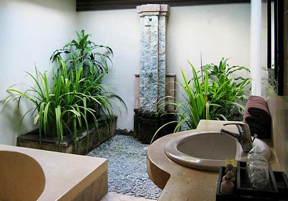 Łazienki pełne roślin